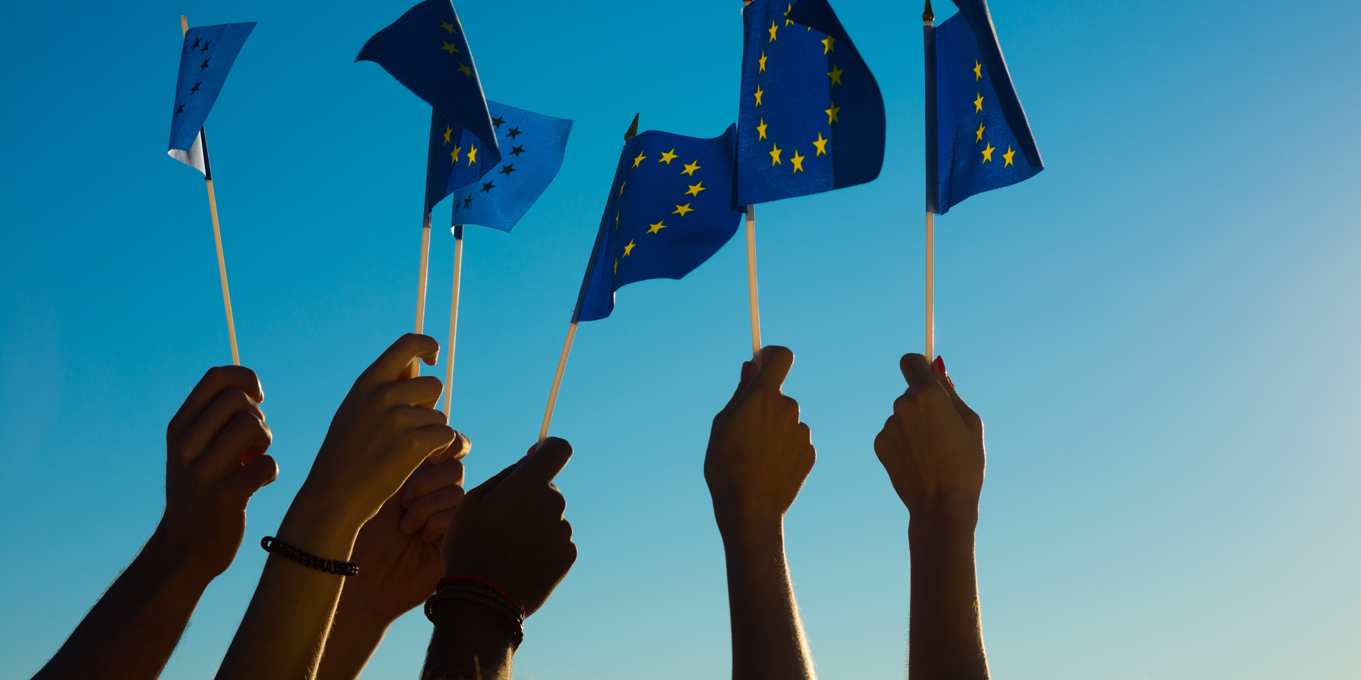thumbnails European Business in China - Business Confidence Survey